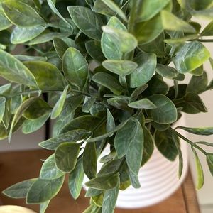 Meet your Posher, Sally